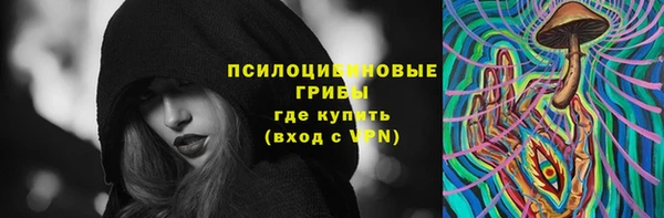 дживик Алексеевка