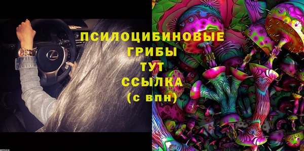 дживик Алексеевка