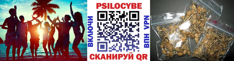 Галлюциногенные грибы Psilocybe  как найти закладки  Ардатов 